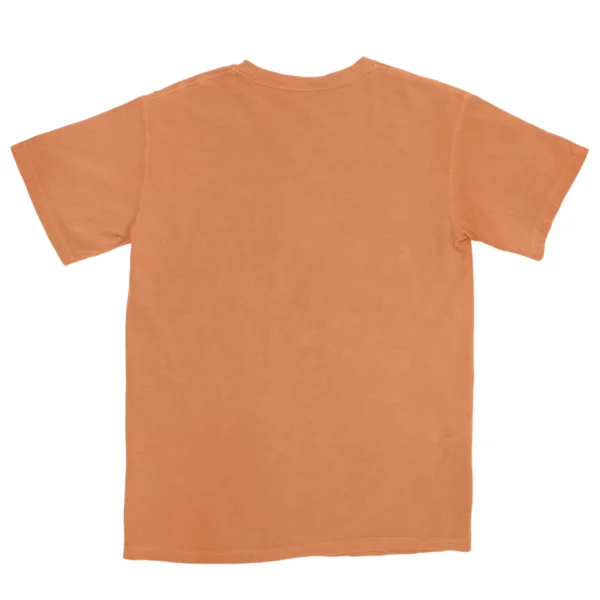 The Beach And Camping Adventure Life Unisex Comfort Colors T-shirts